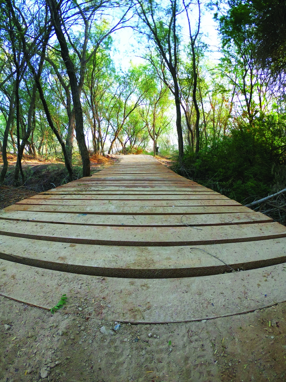 DCIM100GOPROGOPR0403.JPG