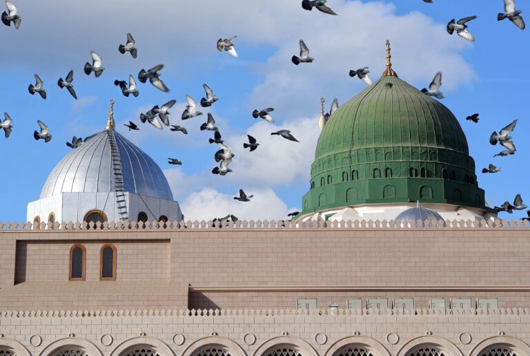 Prophet,Muhammed,Holy,Mosque,And,Pigeons,Flying,In,The,Sky