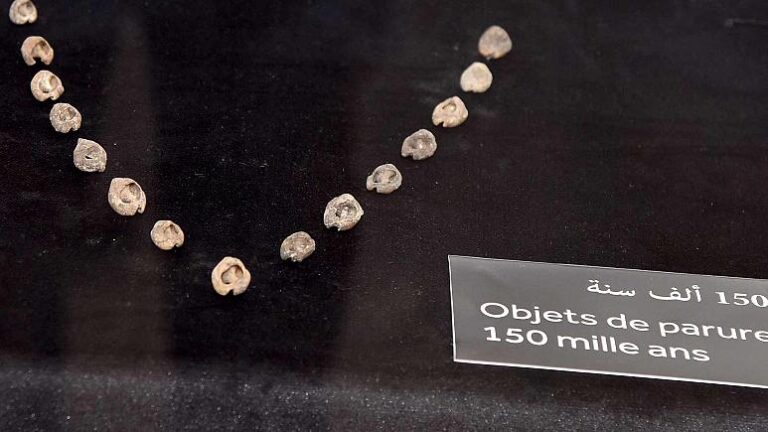 773x435_cmsv2_0bb9e272-fa0a-5133-a982-71f8fb4409f2-6244536