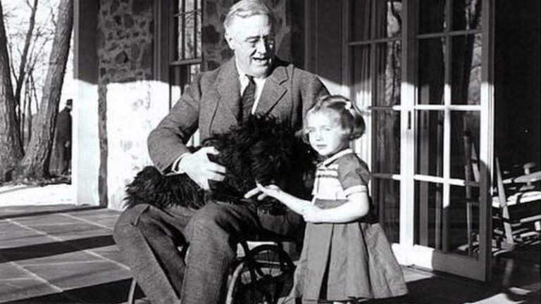 _121926908_a81acc20-b1c0-4122-b4e7-755f6e19b506