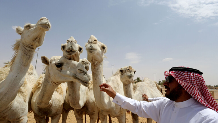 61b0a5974236042c8347f4cd