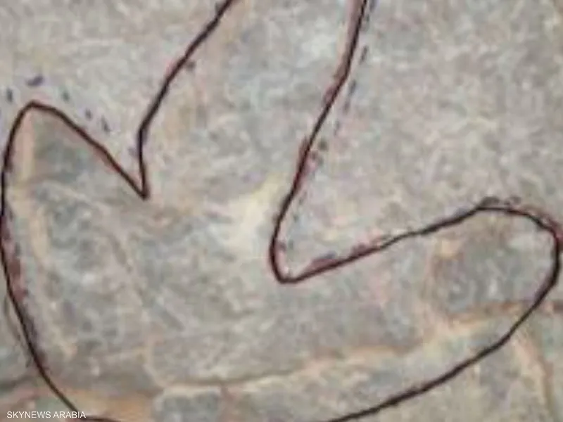 1-1501204