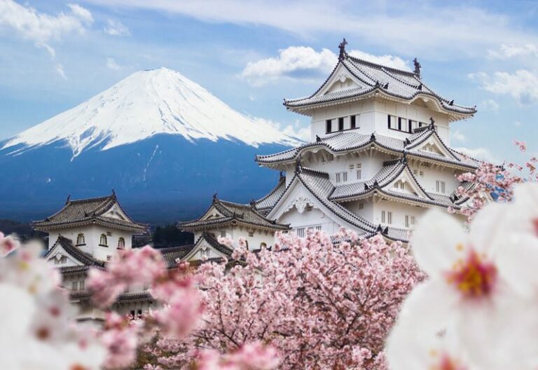 Japans_cherry_blossom_1_4