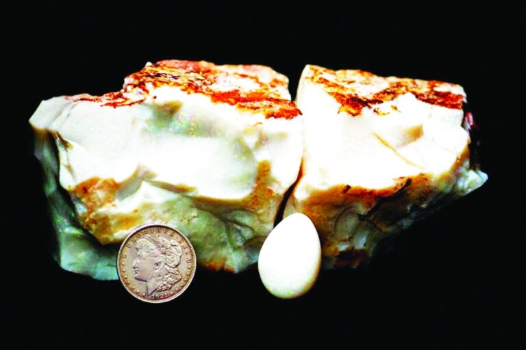 image - 2022-02-22T080750.183