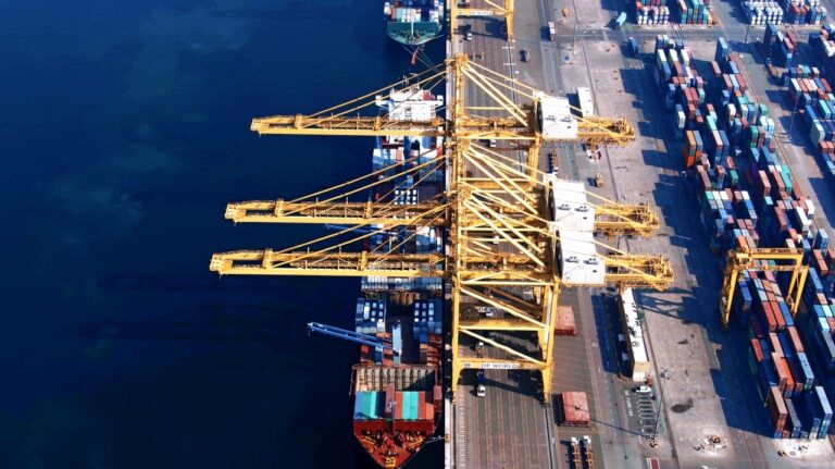 "ظ…ط´ط§ط±ظٹط¹ ط§ظ„ط®ظ…ط³ظٹظ†" طھط¹ط²ط² ط§ظ„ظ…ط²ط§ظٹط§ ط§ظ„ط­ظٹظˆظٹط© ظ„ط§ظ‚طھطµط§ط¯ ط§ظ„ط¯ظˆظ„ط©. 5