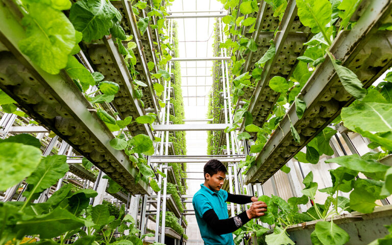 image - 2022-02-27T075849.760