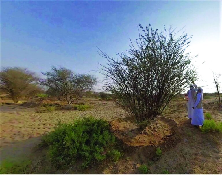 image - 2022-03-08T063653.648