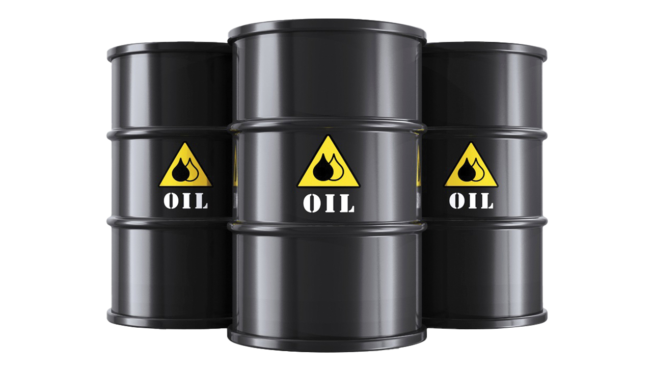 image - 2022-03-08T064631.113