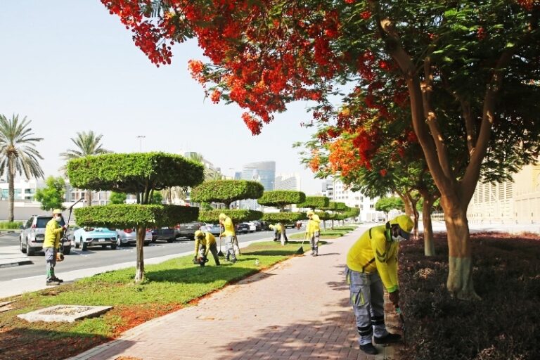 image - 2022-03-13T082603.901