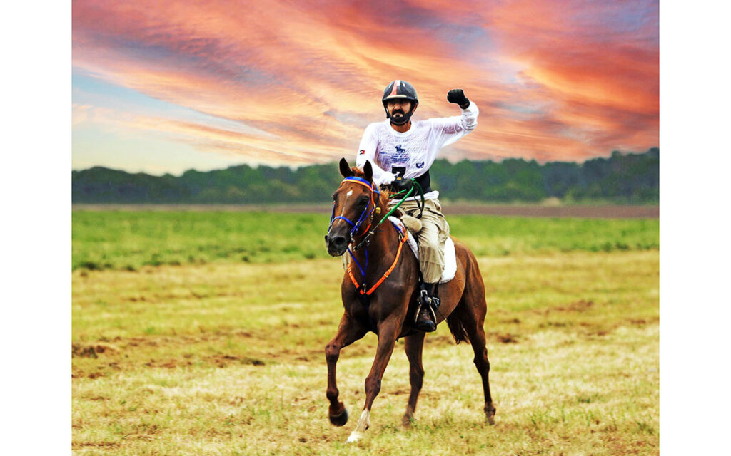 Horse Race