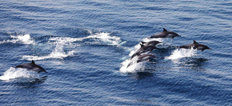 image - 2022-04-12T044257.152