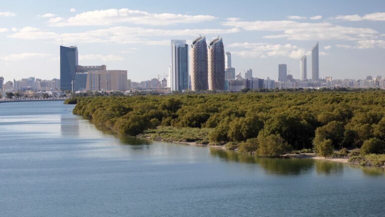 image - 2022-04-13T182352.800