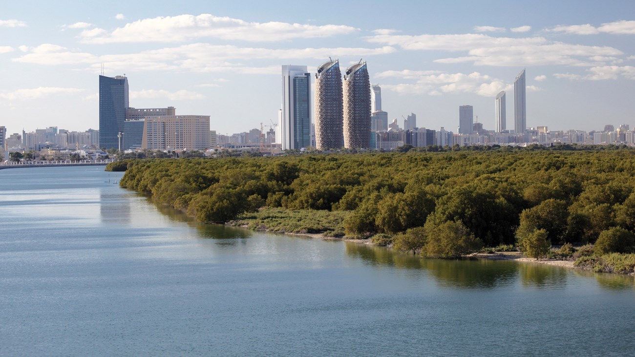 image - 2022-04-13T182352.800