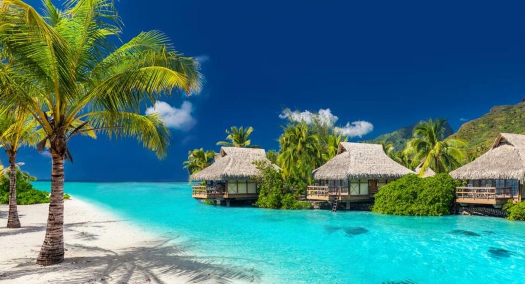 Perfect,Holiday,Location,On,A,Tropical,Island,With,Palm,Trees