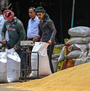 INDIA-AGRICULTURE-INFLATION-WHEAT