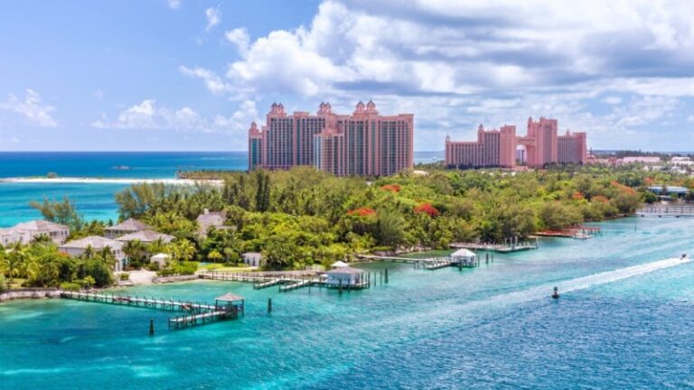 image - 2022-05-08T061737.073