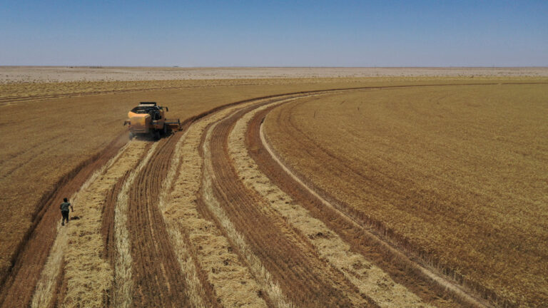 image - 2022-05-15T075817.048