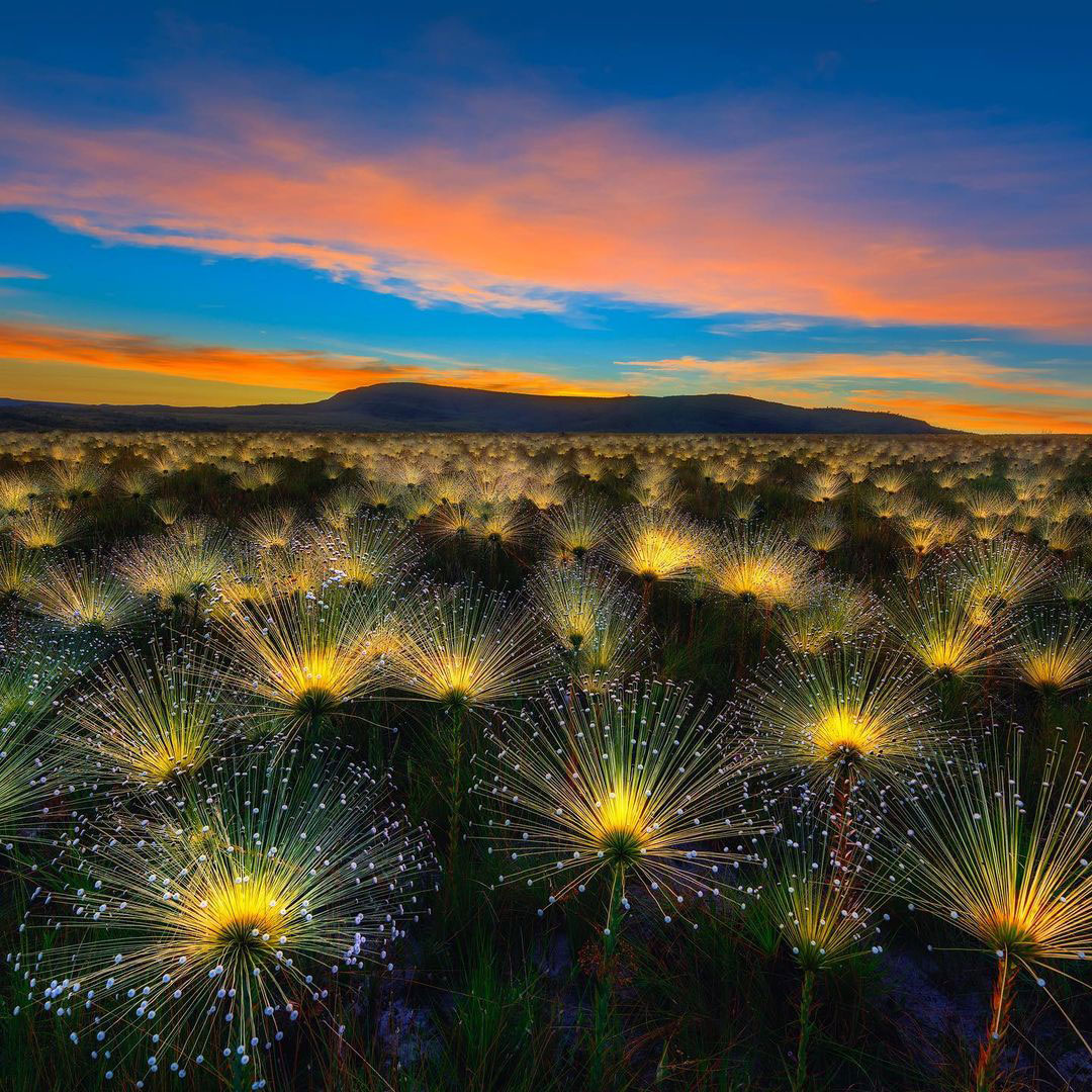 image - 2022-05-15T080821.920