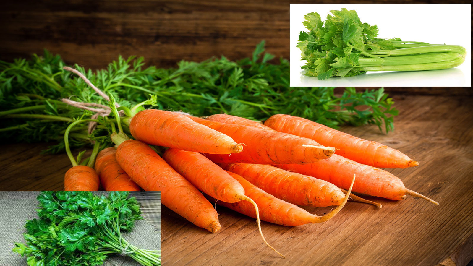 image - 2022-05-18T161402.617