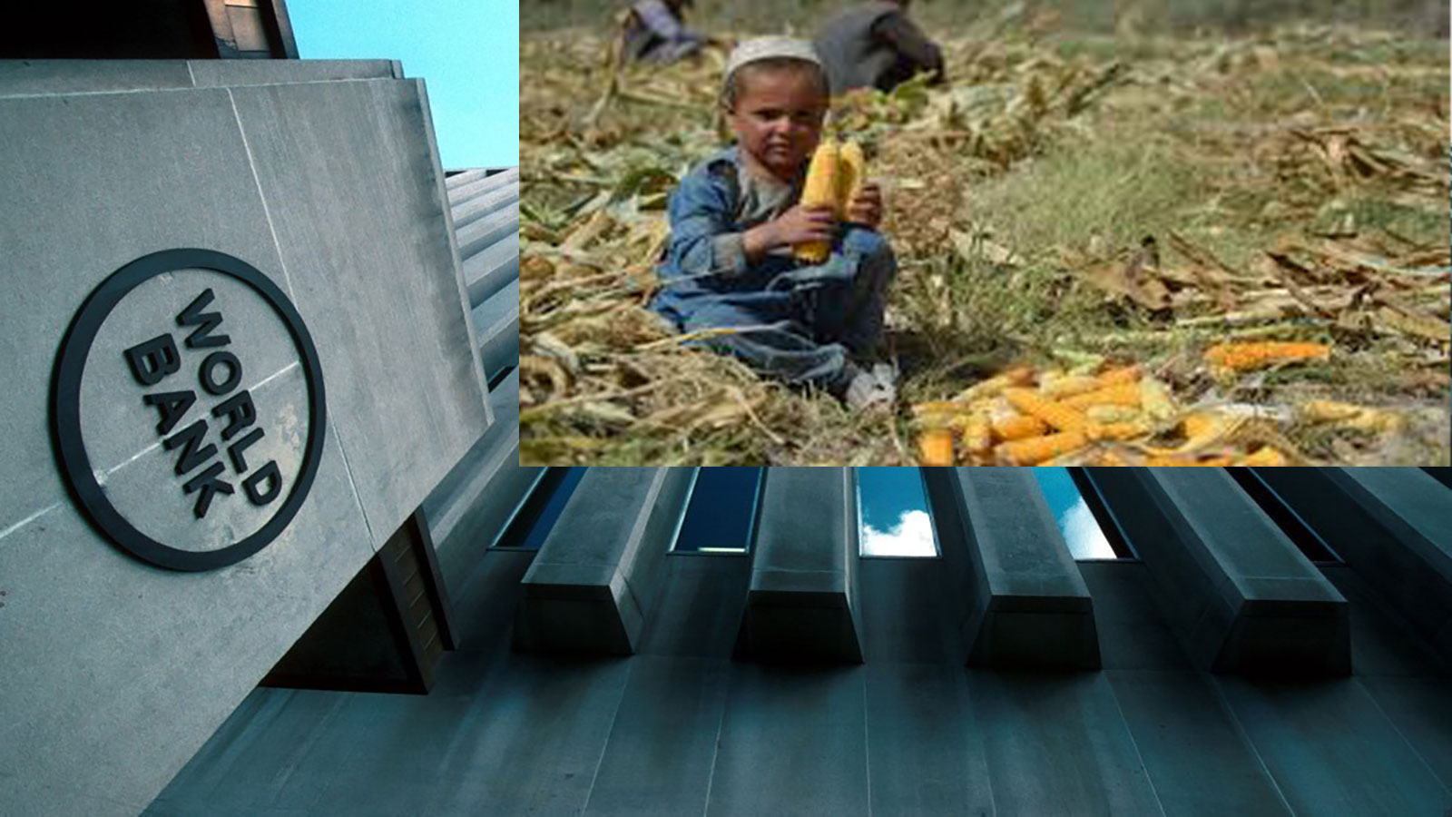 image - 2022-05-19T064553.158