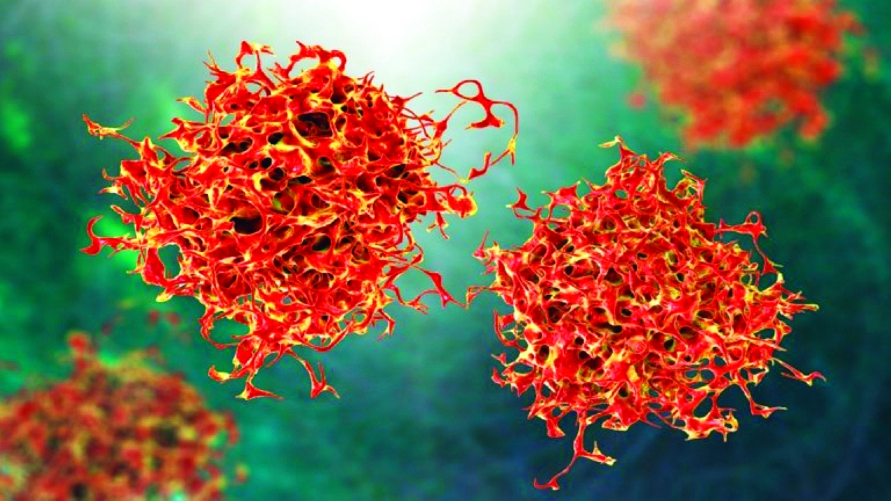 image - 2022-05-25T074151.341