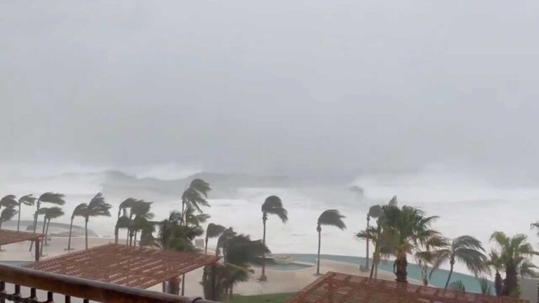 image - 2022-05-31T080154.910