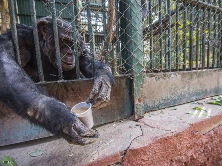 image - 2022-06-05T085516.674