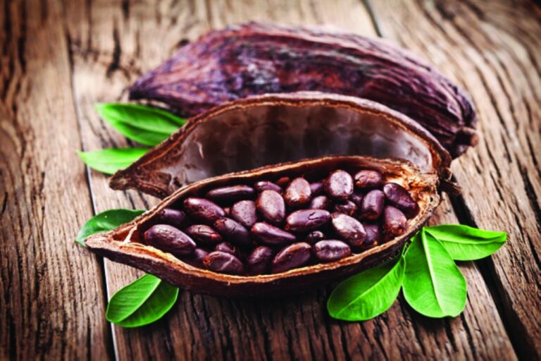 image - 2022-06-16T104059.491