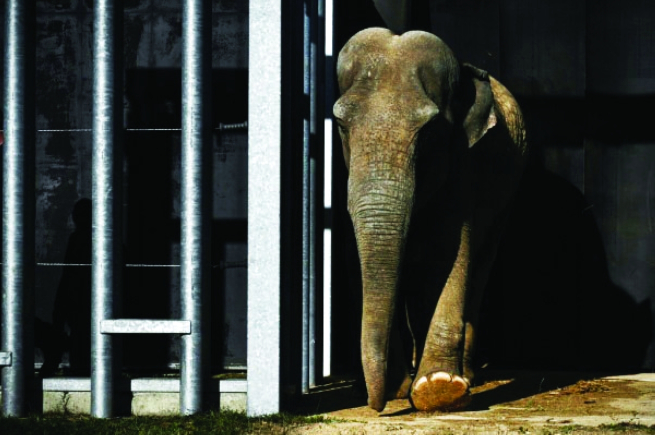 image - 2022-06-16T105759.275