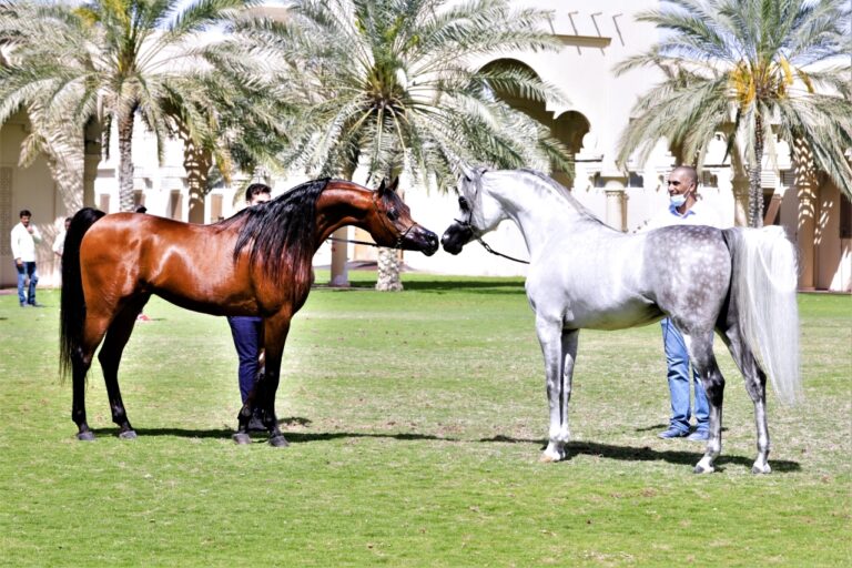 image - 2022-06-25T091539.381