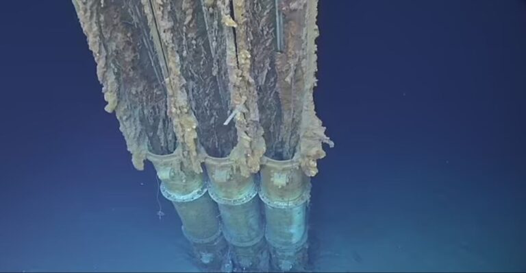 image - 2022-06-25T161518.326