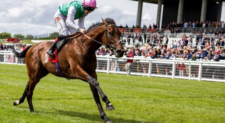 image - 2022-06-25T213211.468