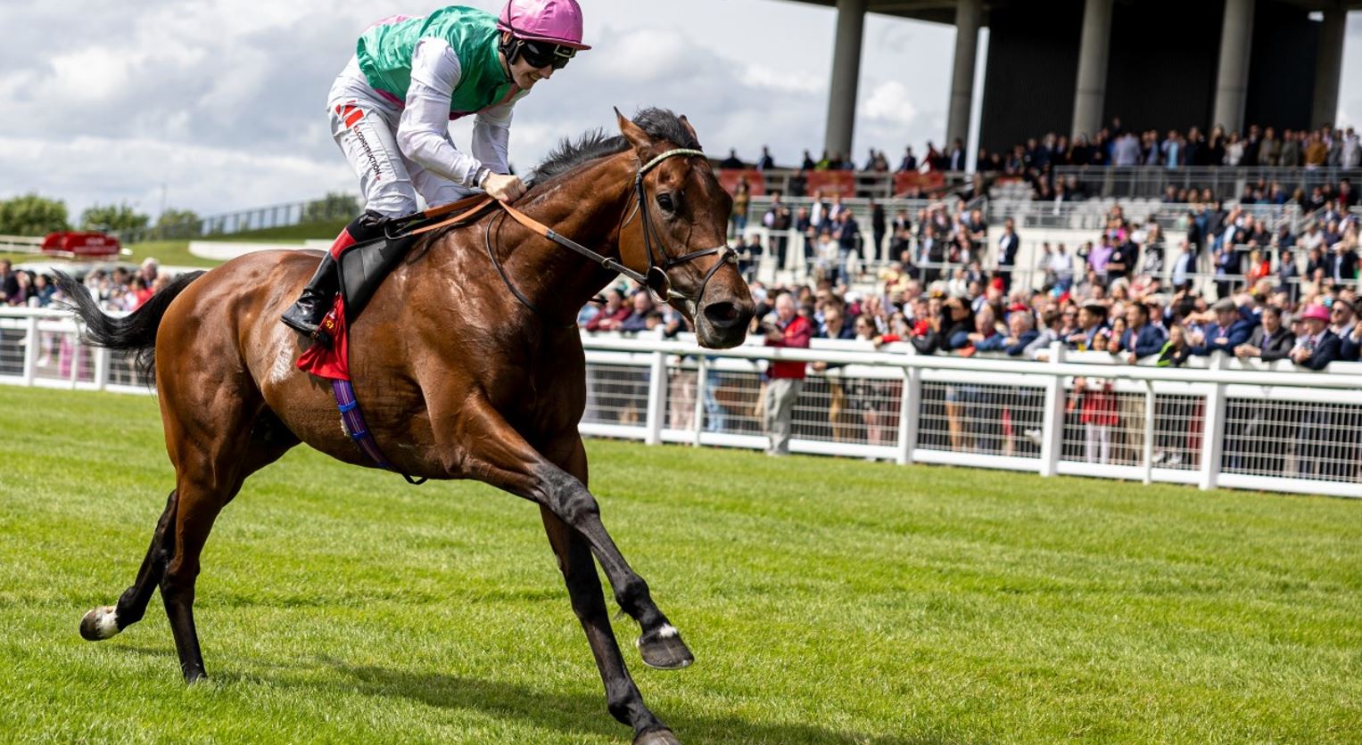 image - 2022-06-25T213211.468