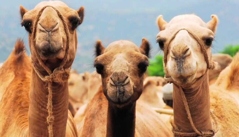 image - 2022-06-26T164137.949