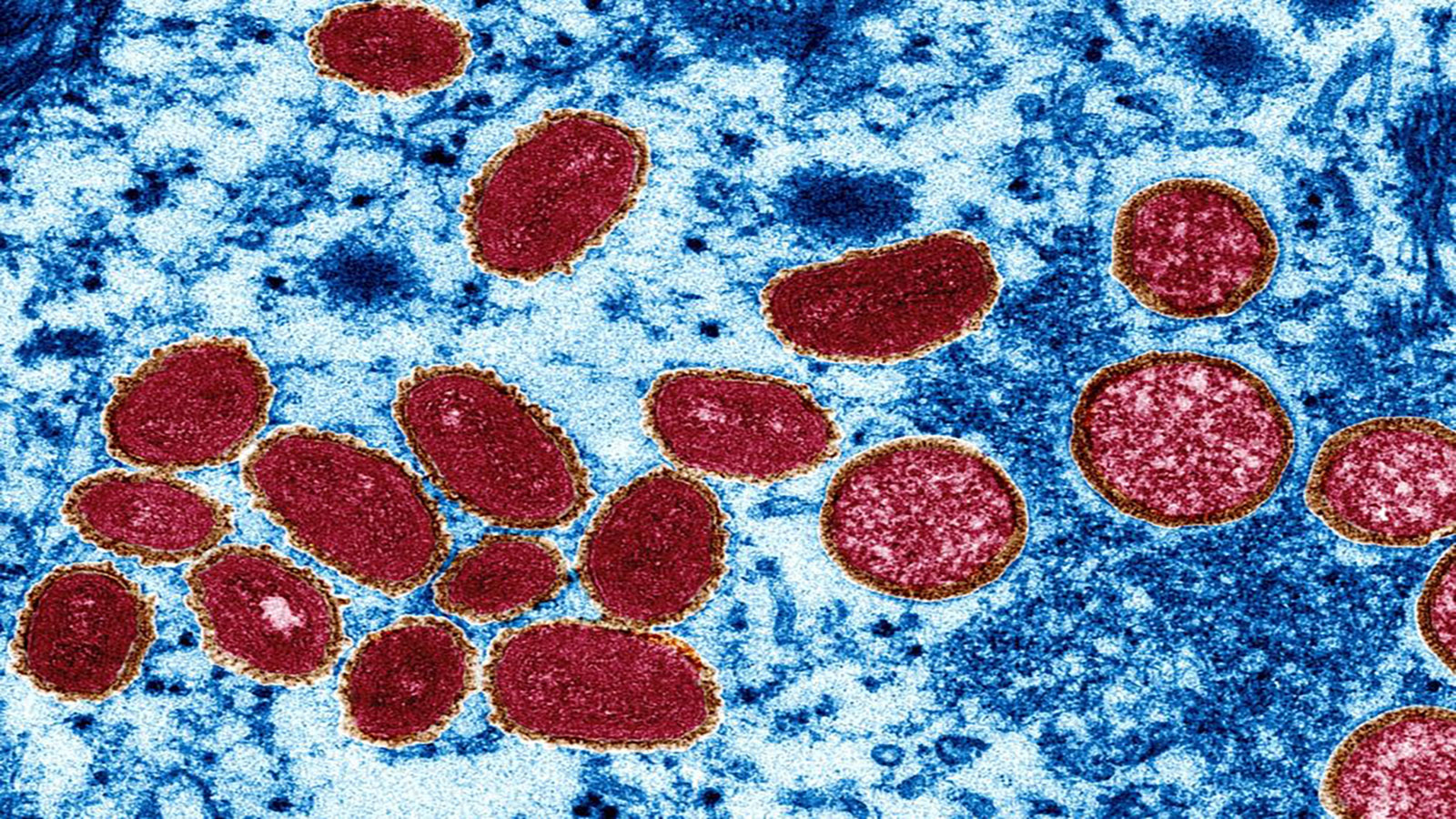 image - 2022-06-28T081301.580