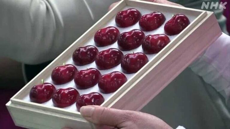 image - 2022-06-28T082642.817