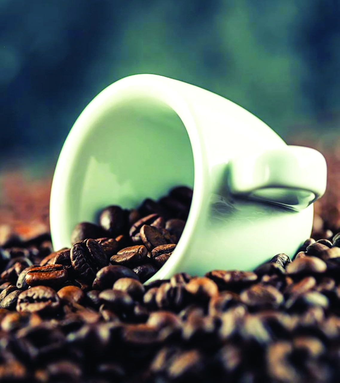 image - 2022-06-28T082836.788