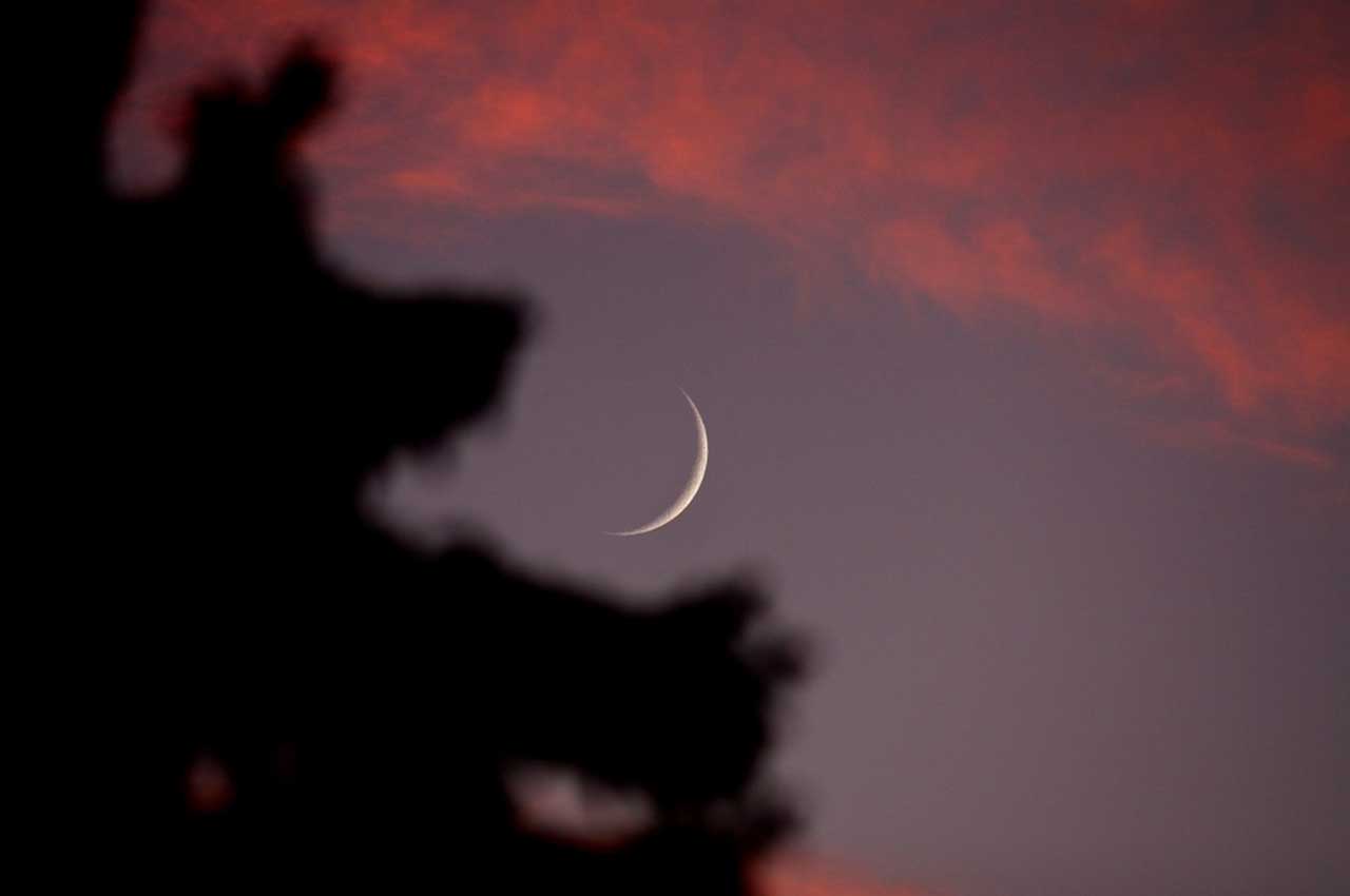 image - 2022-06-29T095438.326