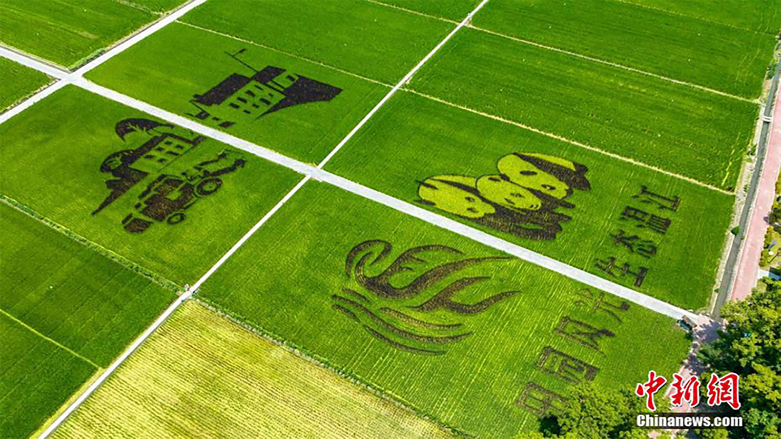 image - 2022-07-07T072102.250