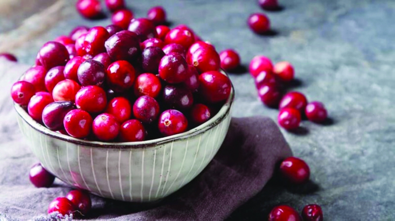 image - 2022-07-07T073935.593