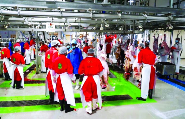 image - 2022-07-11T082042.310