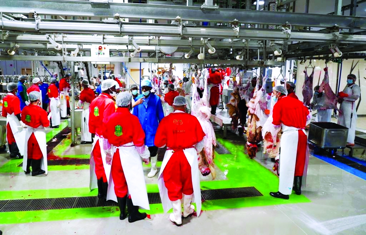 image - 2022-07-11T082042.310