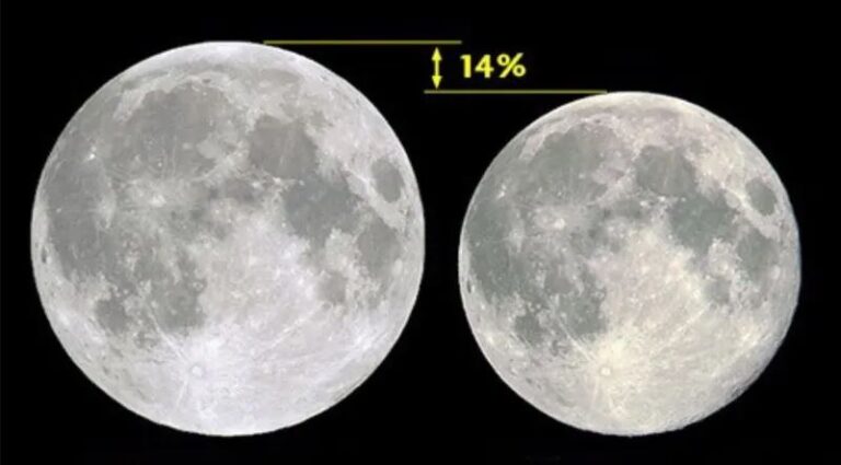 image - 2022-07-12T081007.524