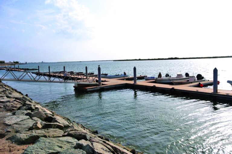 image - 2022-07-13T080621.369