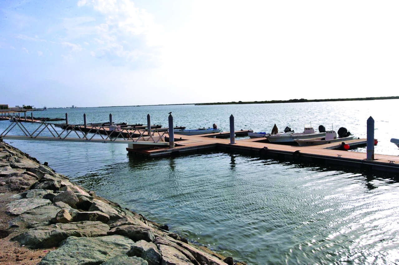 image - 2022-07-13T080621.369