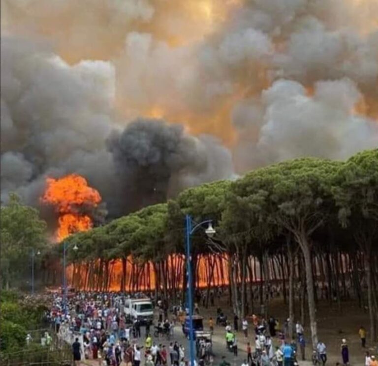 image - 2022-07-17T075104.667