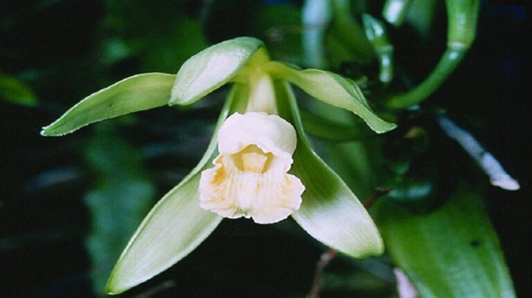 image - 2022-07-28T075929.581