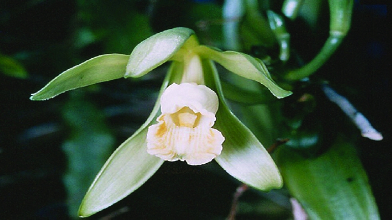 image - 2022-07-28T075929.581