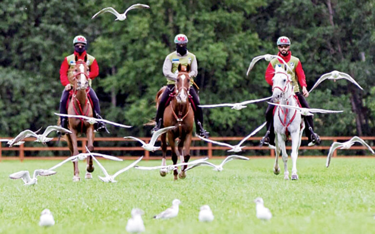 image - 2022-07-31T073332.625