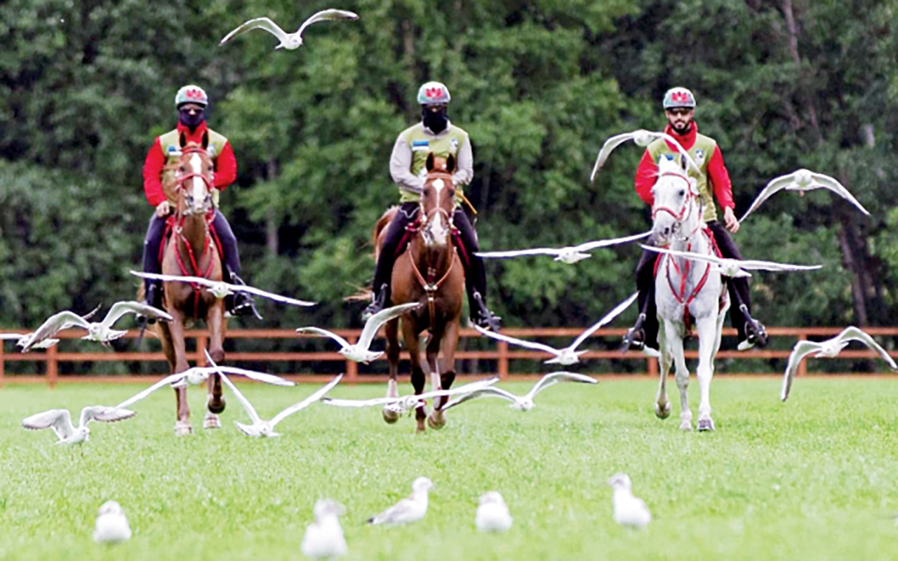 image - 2022-07-31T073332.625